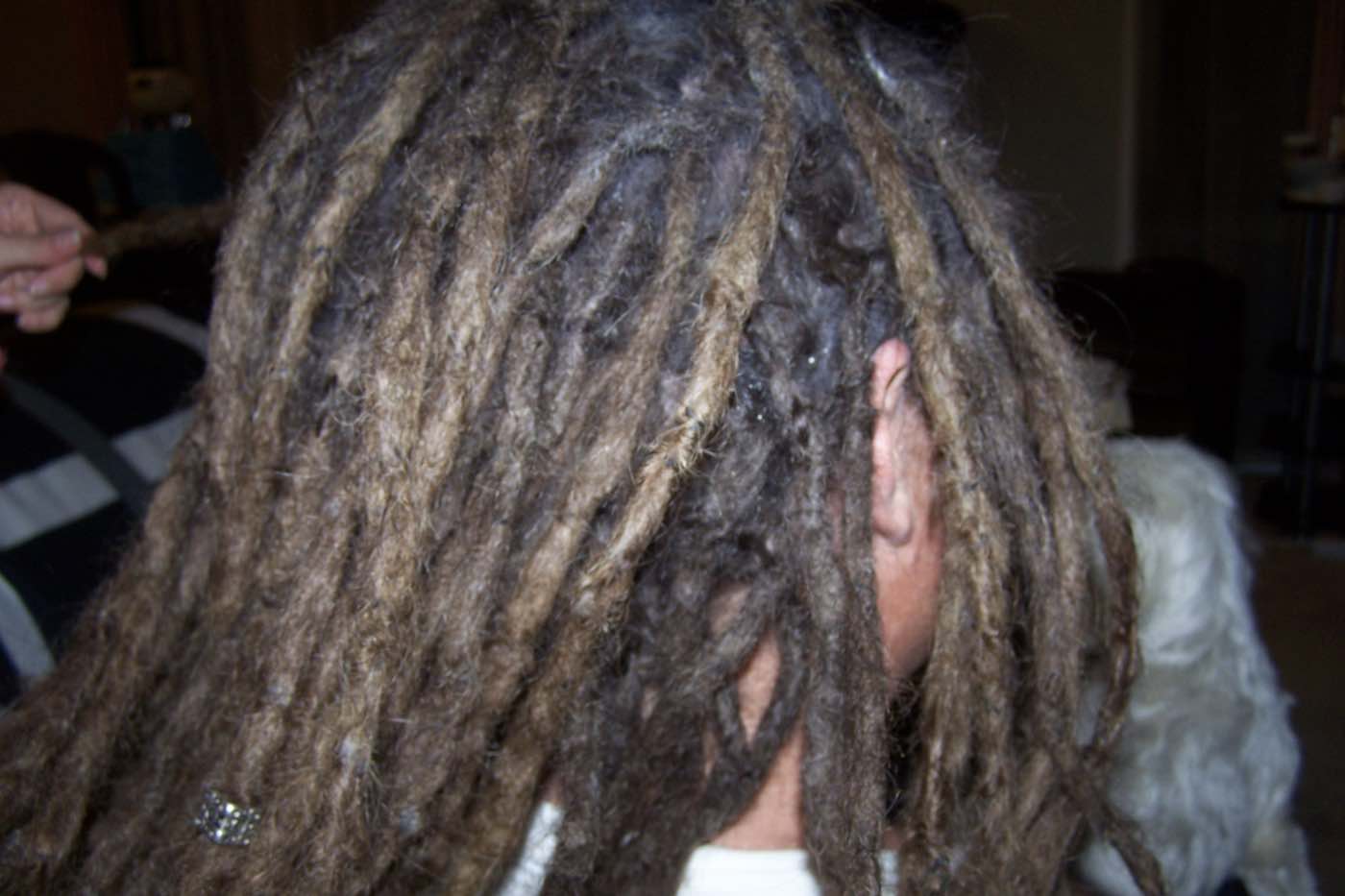 dreadlock hair